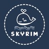 SKYRIM🐳SEVENTEEN 代購群