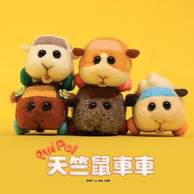 天竺鼠車車爆紅網揭5大必追理由 Nownews 今日新聞 Line Today