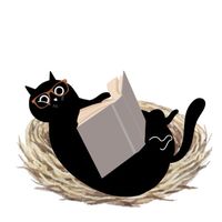 書適圈 Comfort Booknest