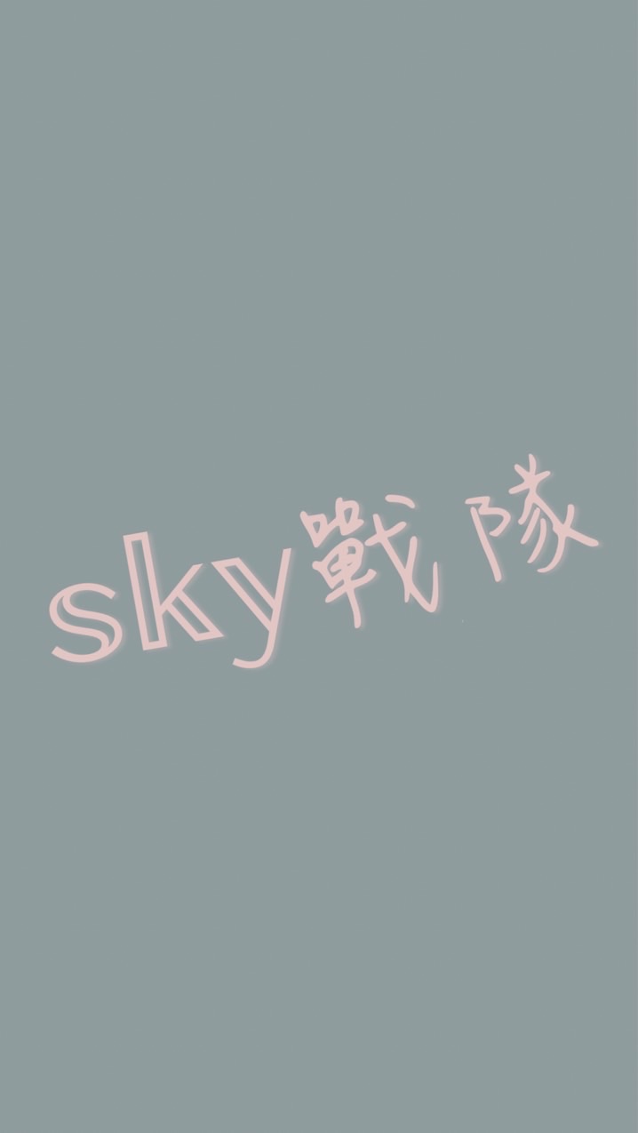 𝕤𝕜𝕪戰隊