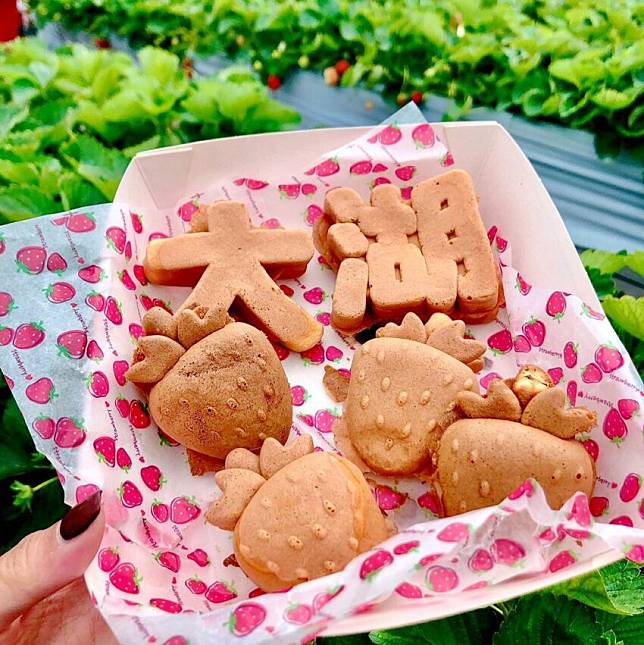 照片來源：IG ＠henhos1201