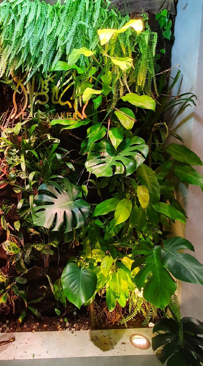 布思綠 布植界