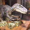 皆大好きユニバーサル