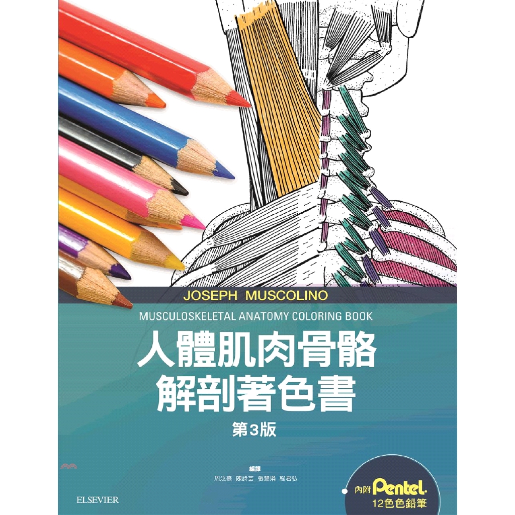 [95折]《台灣愛思唯爾》人體肌肉骨骼解剖著色書/Joseph E. Muscolino(盒裝)