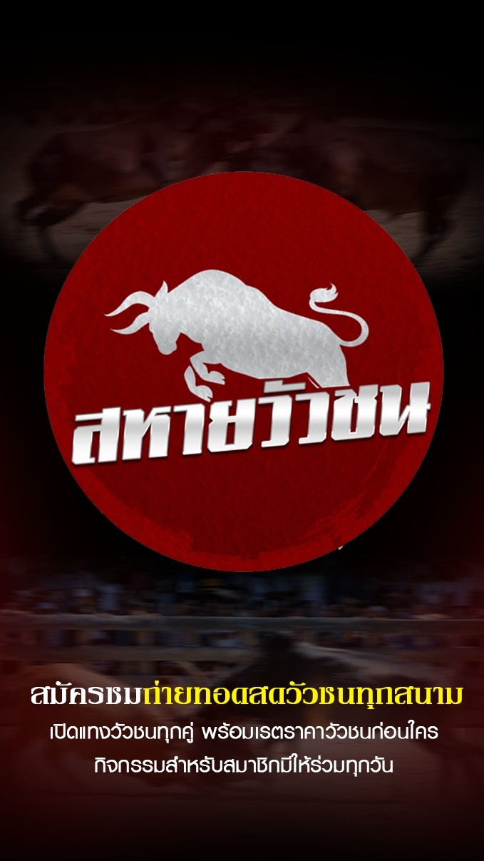 โปรแกรมวัวชนวันนี้ สหายวัวชน