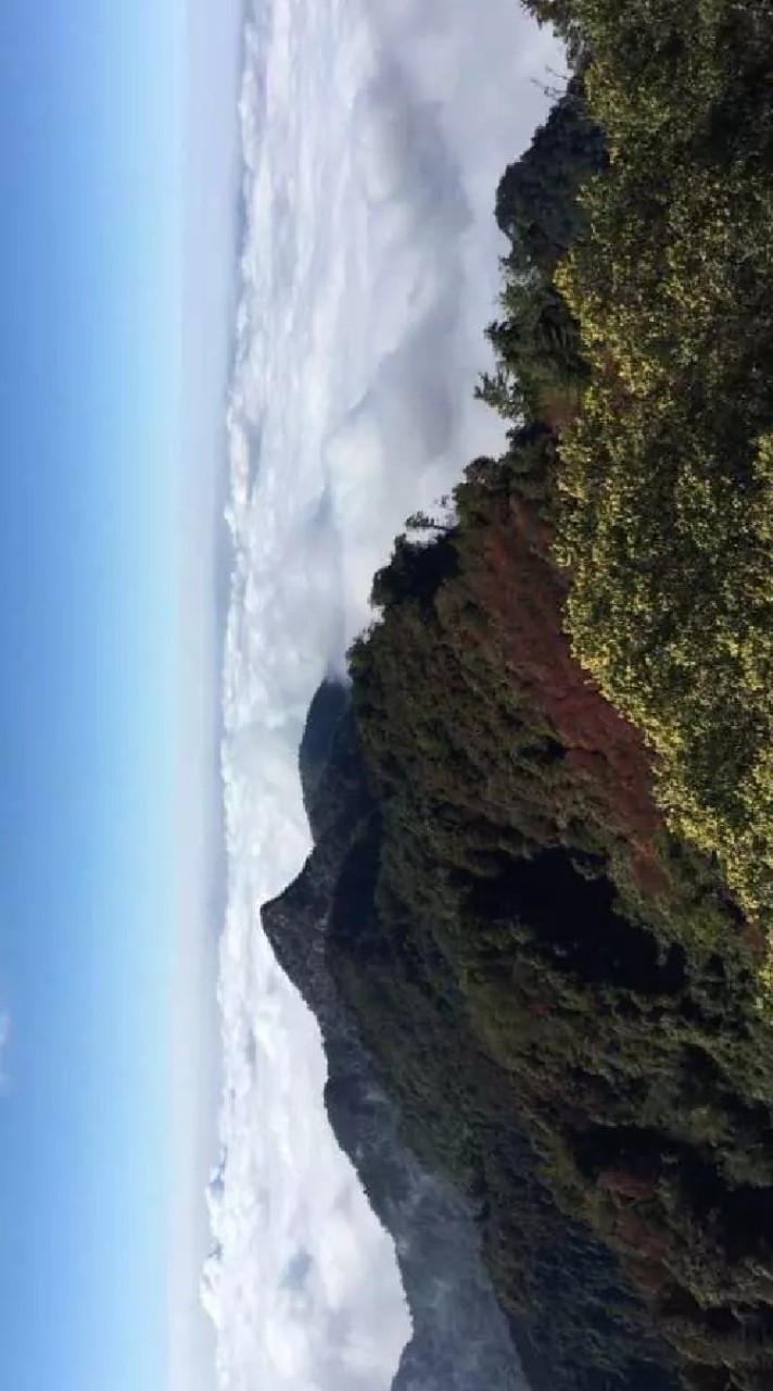 均豪1023大雪山行746265580