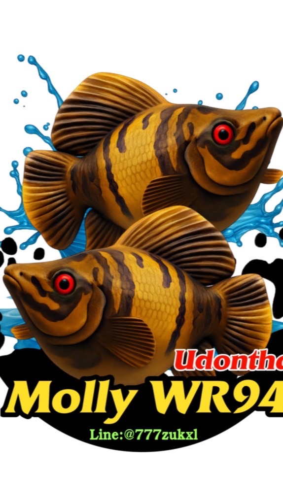 Molly WR94