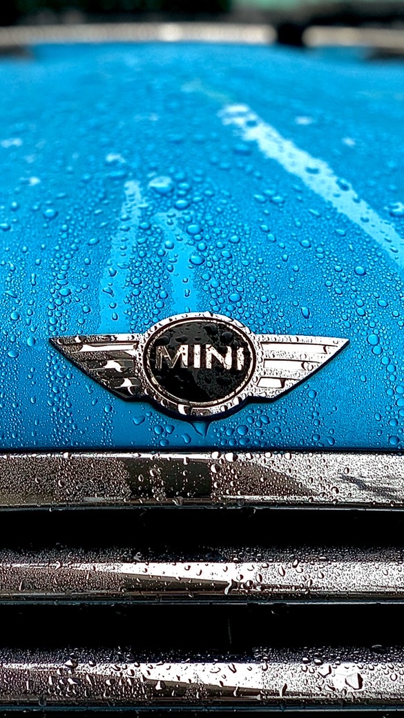 あ、MINI乗り。楽しんでいます。今からの人もね。