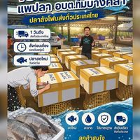 แพปลา อบต.ที่ม บางคล้า -รับซื้อ-ขายปลาน้ำจืดทุกชนิด