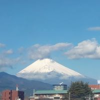 歩こう部（無理なく楽しく運動しよう）