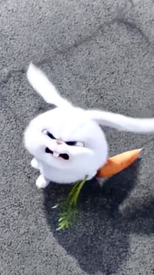 Phugunkun🐰🌙💜