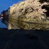 岩ハミリー