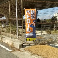 向井田自治会