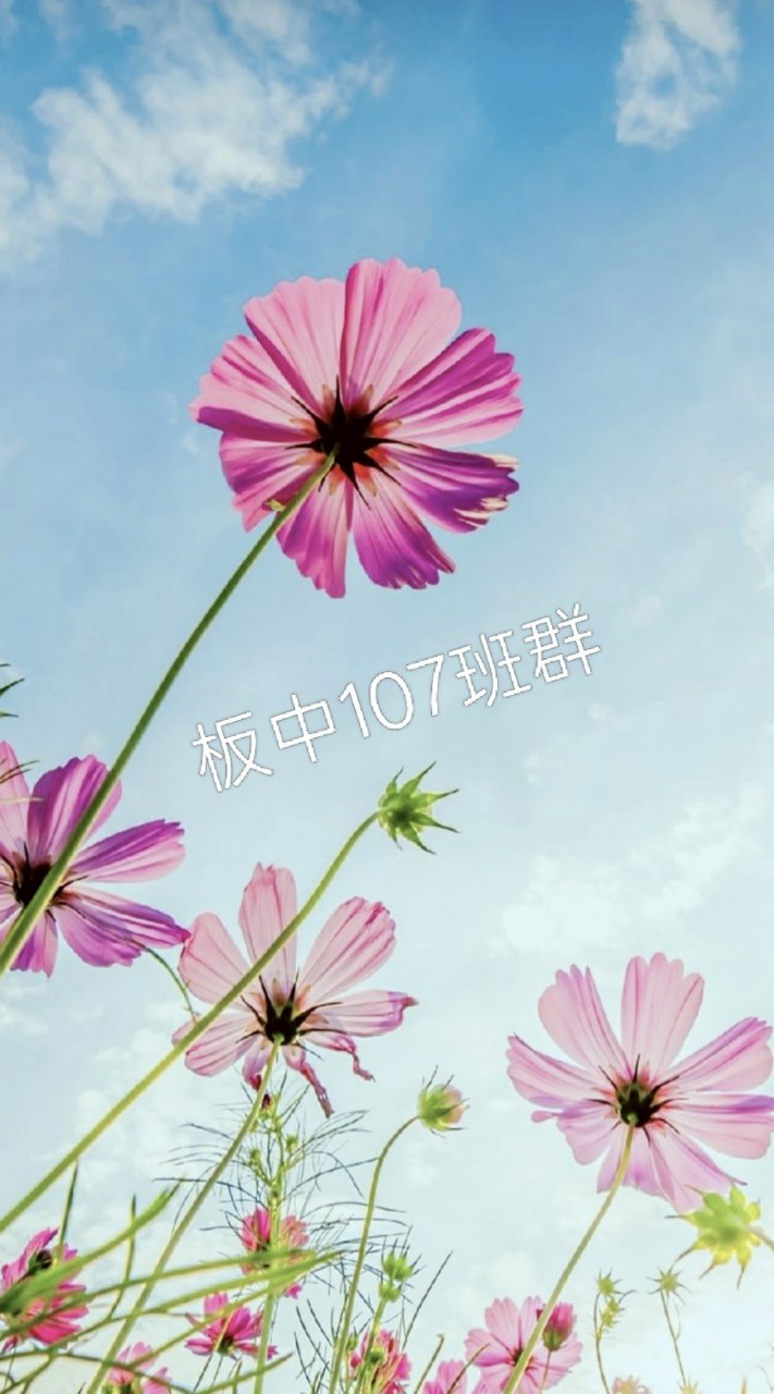 114板中107家長班群