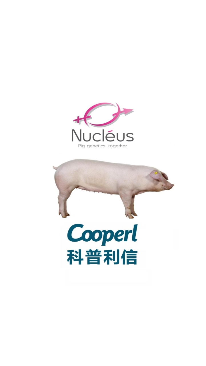 科普利信台灣養豬團體-Cooperl