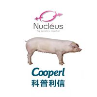 科普利信台中養豬團體-Cooperl
