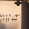 無話不談～婚頭轉向🤪