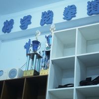 將宇跆拳道館暑期娛樂營