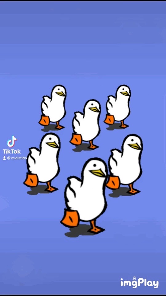 NFT喵帝商家合作平台