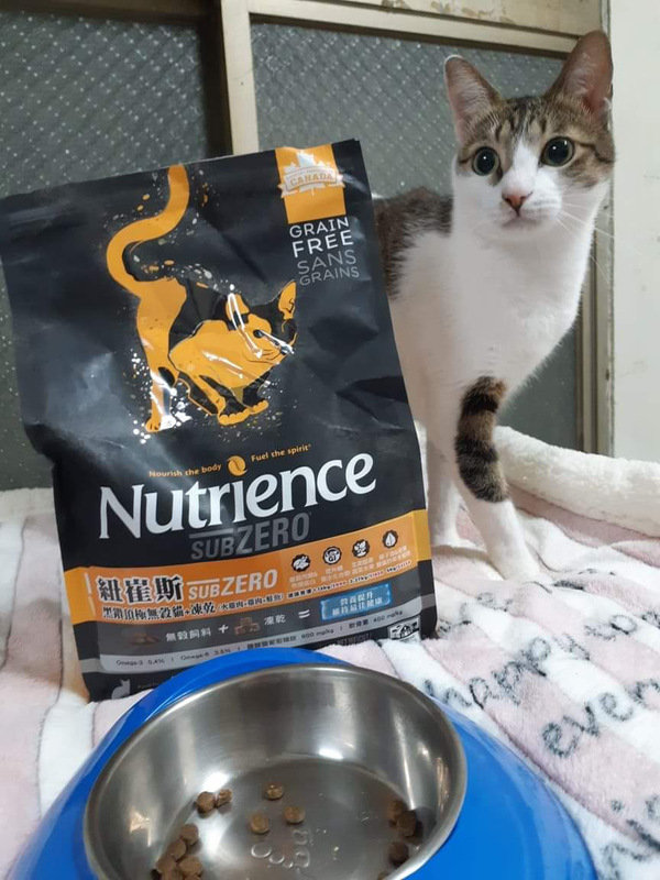 貓飼料推薦-貓奴必備紐崔斯Nutrience 頂級無穀飼料 凍乾系列 成貓無穀 火雞肉+雞肉+鮭魚 2.27kg 開箱分享