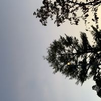 發病交流社