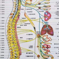 ☯️三維骨節整復技術交流群