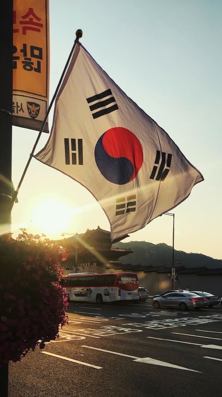 Work in Korea🇰🇷