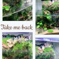 隨心所欲🐠魚缸&水草&淡水&海水交流不限制