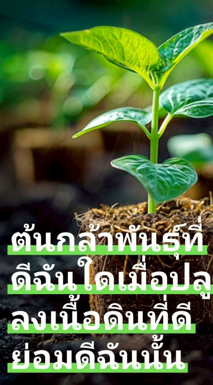 ครูพินแม่พิน