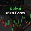 มือใหม่ เทรด Forex