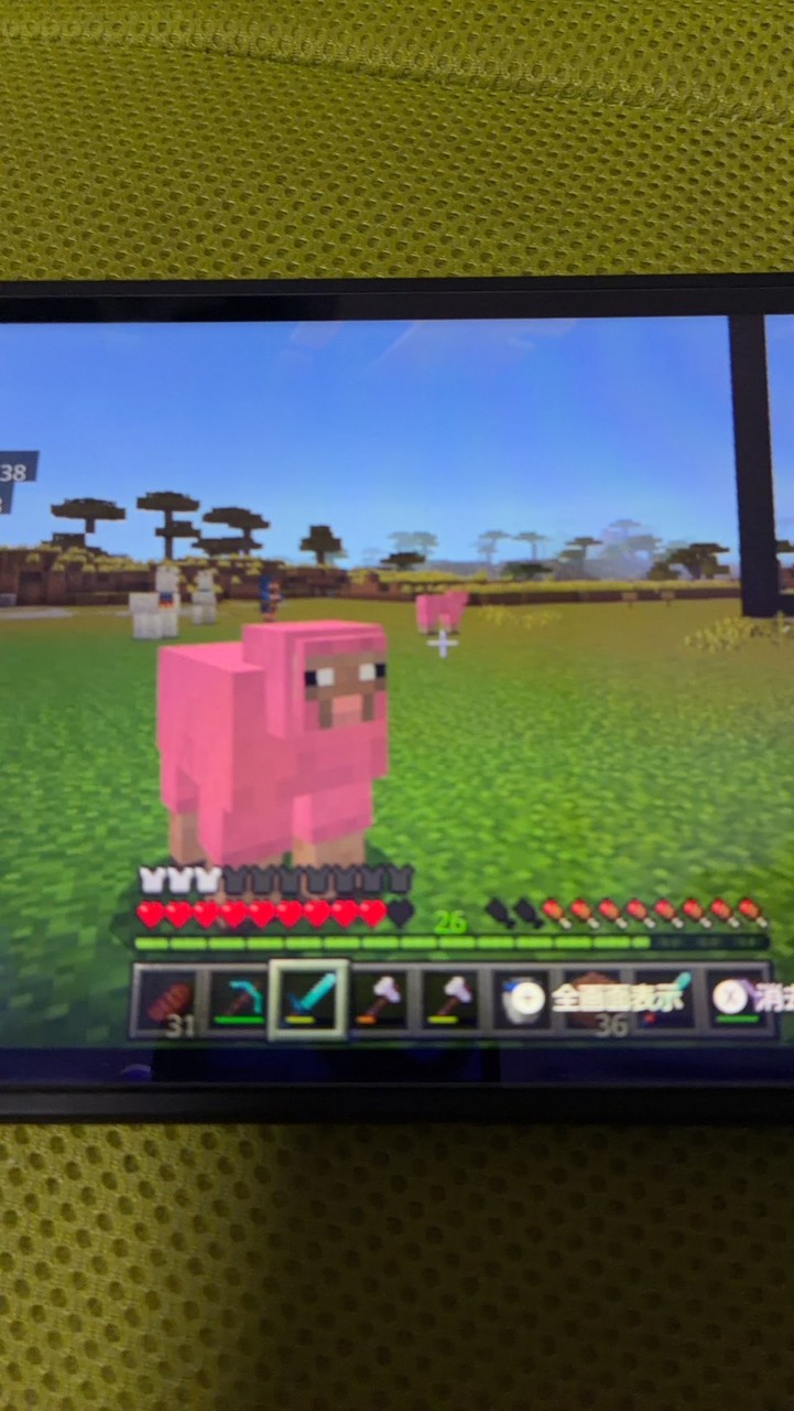 参加型スイッチ勢マイクラ