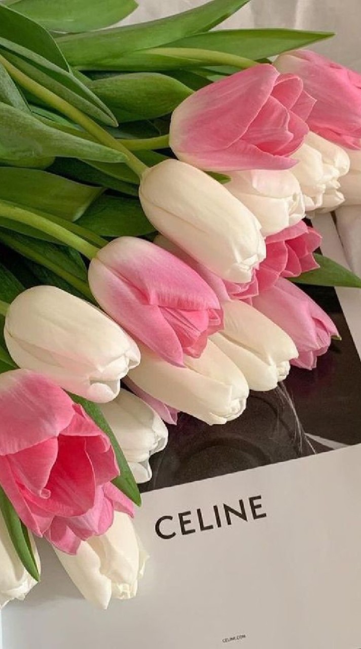 OpenChat ตัวแทนนิริน💐
