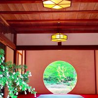 鎌倉のお花散歩🚶💐
