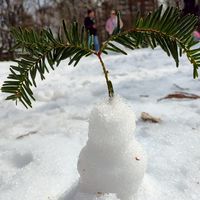 松年大學迦南分校