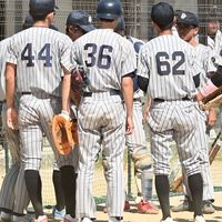 2026年度新歓男子ソフトボール部