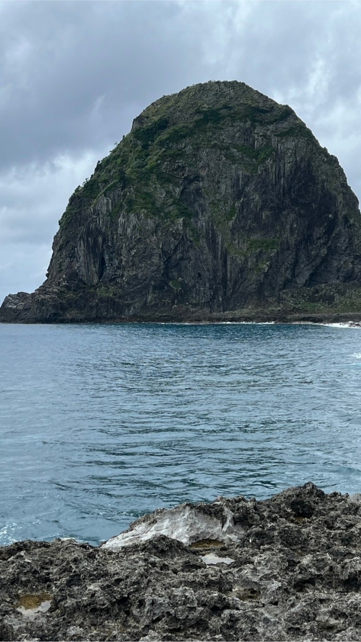 釣魚同樂會