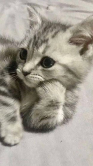 什麼都可聊