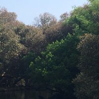 四草隧道🌱