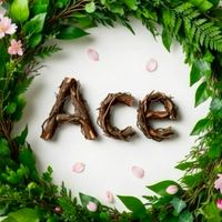 東洋大学Ace新歓グル