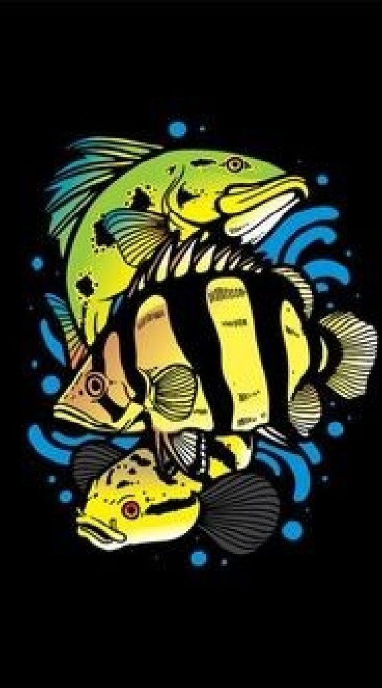 Fish shop Online