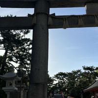神社へ参拝⛩️ご縁結び