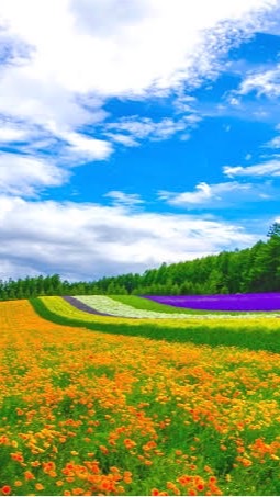 【埼玉】🍀雑談&カラオケ・歌好き待機所☘️