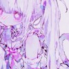 【　魔法学校鳳翔学園　】