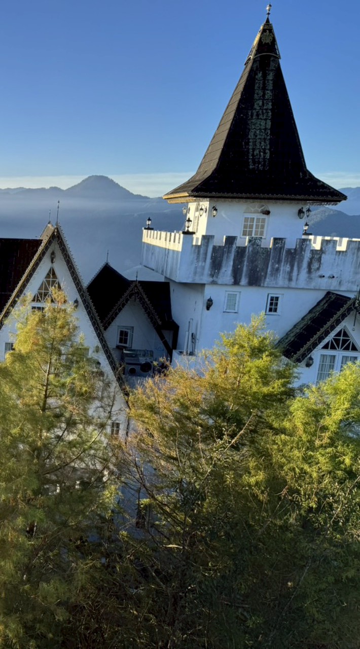 cAmillaArt+Home藝家國際