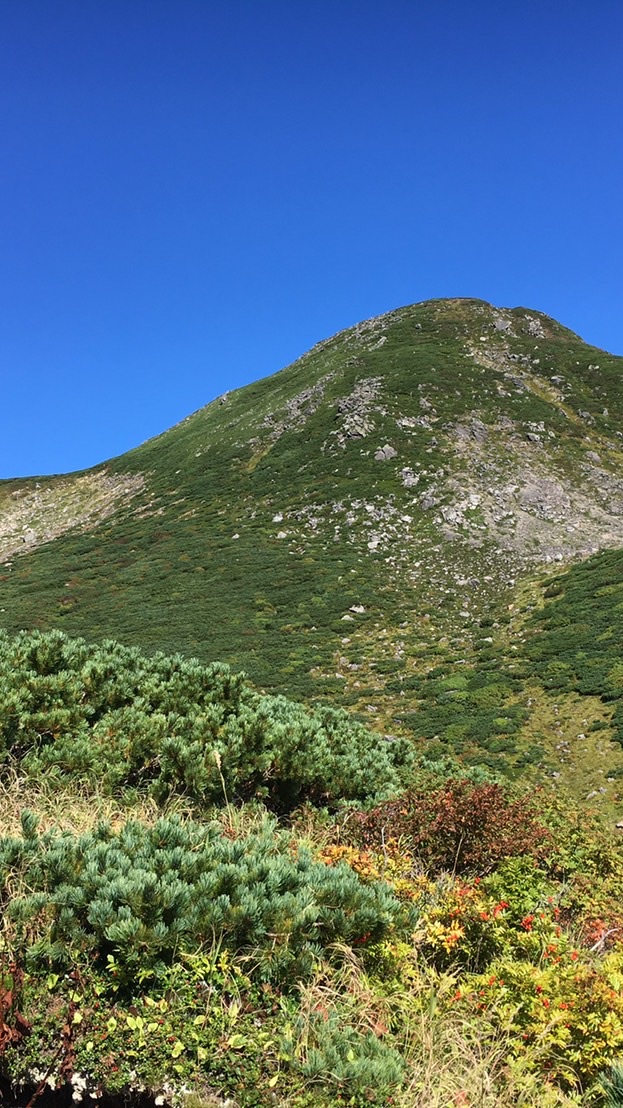 シニア世代　山歩き