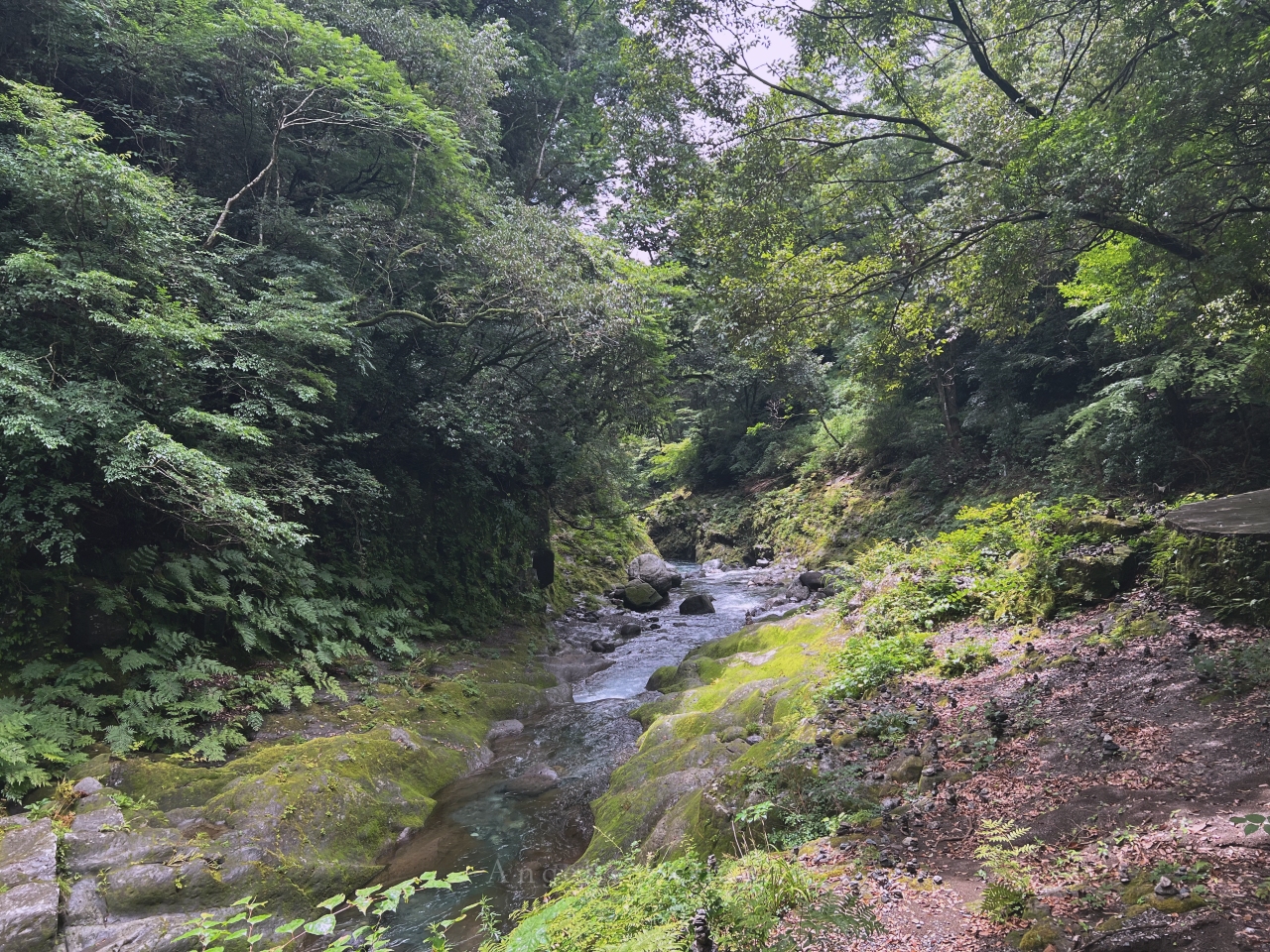 天岩戶神社 8062