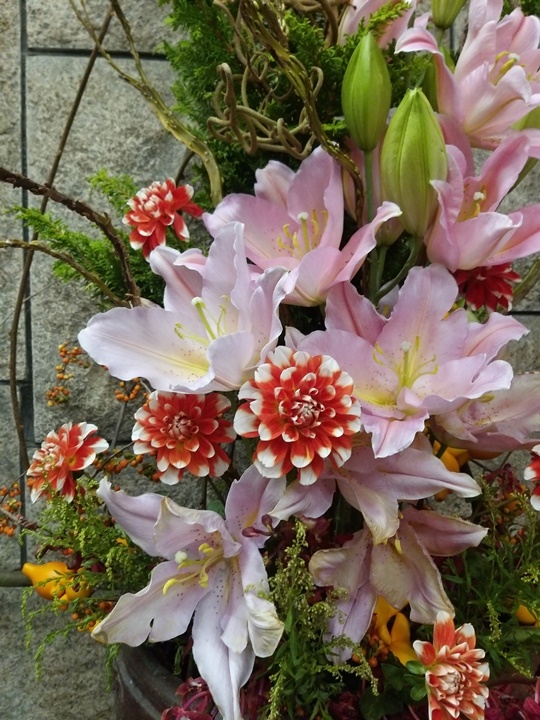 Samsung Galaxy A9 四鏡頭動手玩，從超廣角到長焦段都能拍