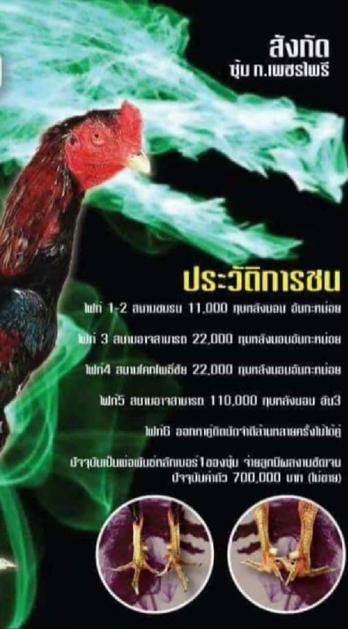 ศรีวิไล ฟาร์ม