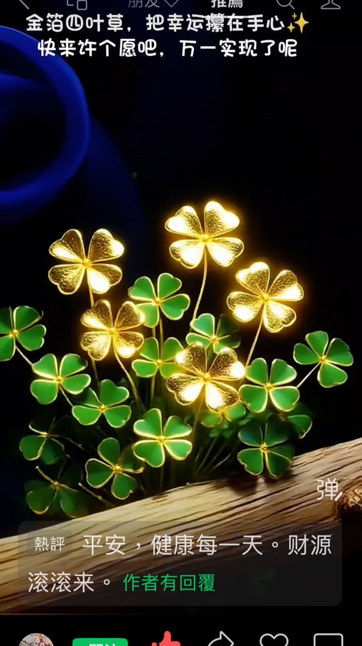 +我股東紅星（元滿2）