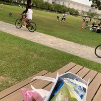 草地運動會/交換禮物/野餐日